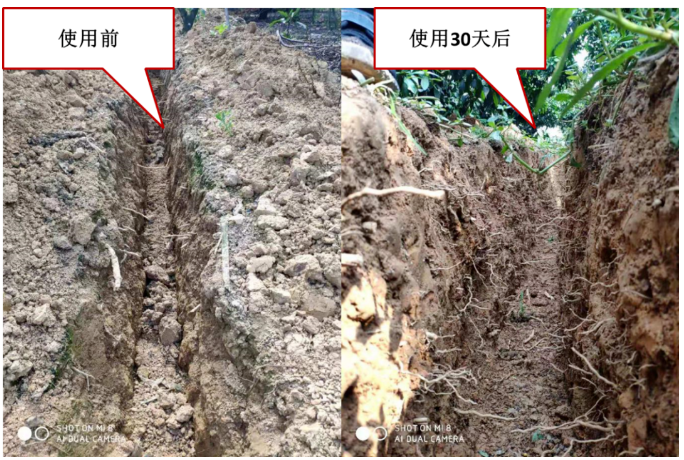 “土壤板結(jié)克星”：土壤調(diào)理劑你了解多少？